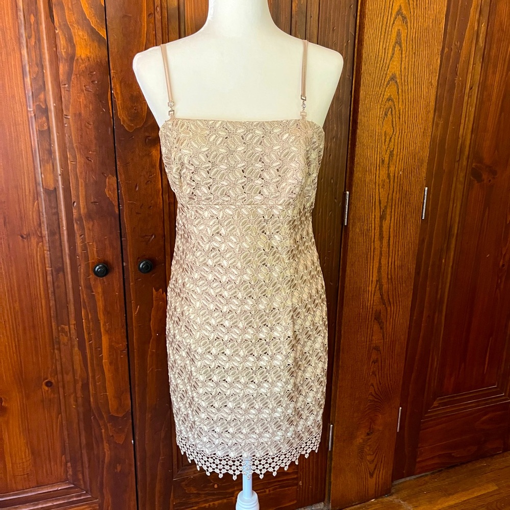 Laundry by Shelli Segal Champagne Lace Cocktail Dress Size 8